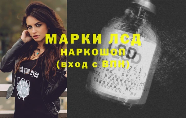 индика Алексин