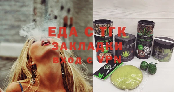 индика Алексин