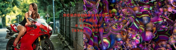 круглые Алексеевка