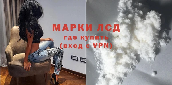 индика Алексин