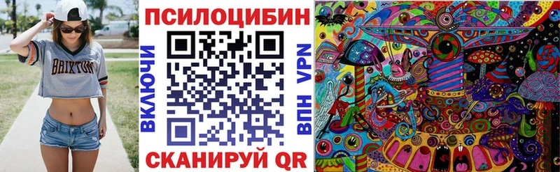 MEGA ТОР  где купить   Шиханы  Галлюциногенные грибы MAGIC MUSHROOMS 